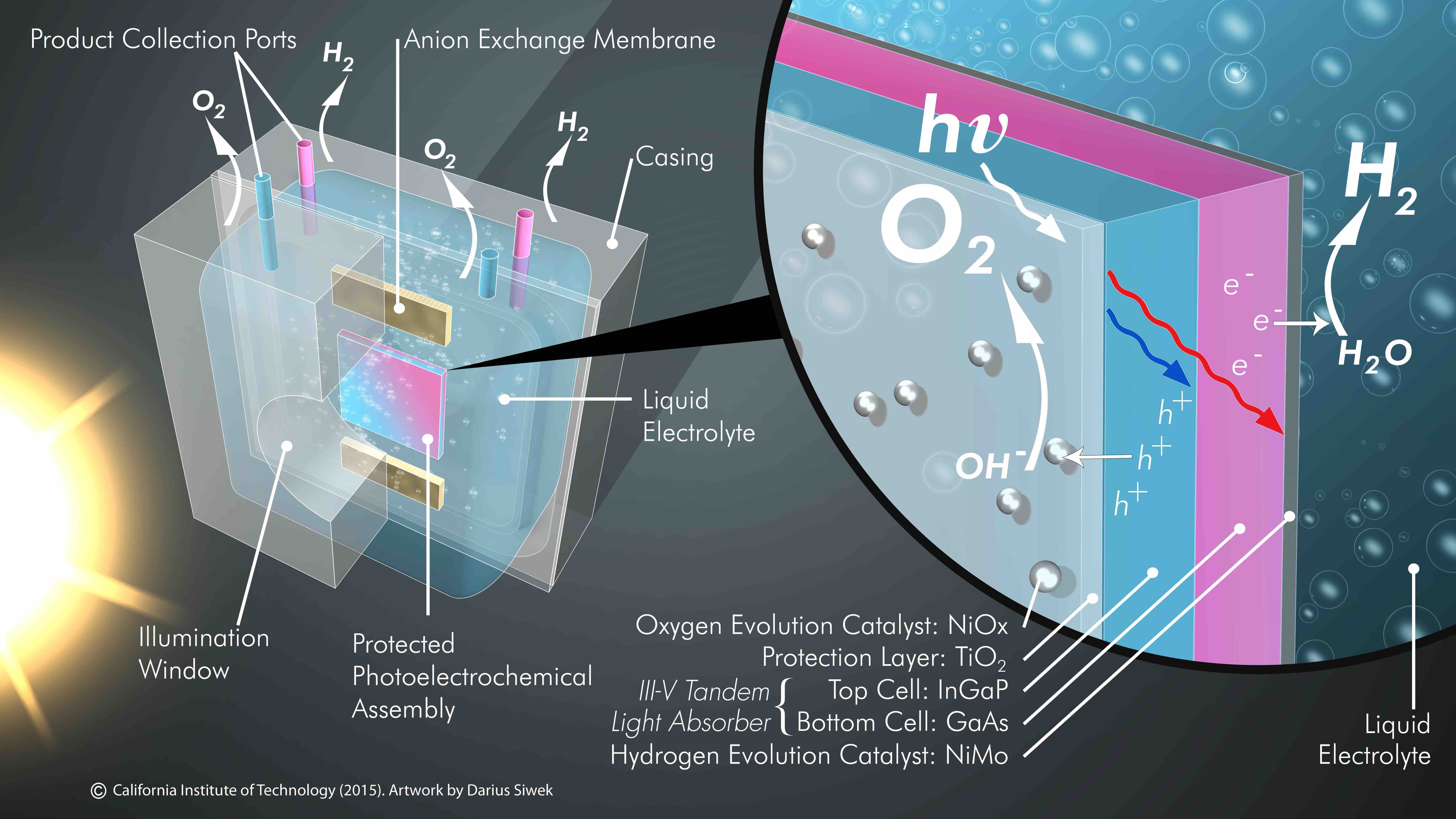 photoanode_-_final_image_xa.jpg