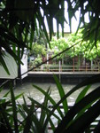 Jim Thompson's house: next to the water