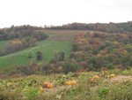 2011 / 10: Fall in Virginia